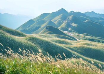 Khám phá Bình Liêu mùa cỏ lau với chi phí 1 triệu đồng