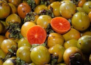 Ngoài ngắm hoa tam giác mạch, người ta còn lên Hà Giang vì 5 món đặc sản này