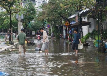 nguoi dan da nang ru nhau bat ca tren duong pho sau mua Người dân Đà Nẵng đua nhau xuống phố bắt cá sau trận mưa lịch sử Người dân Đà Nẵng rủ nhau bắt cá trên đường phố sau mưa