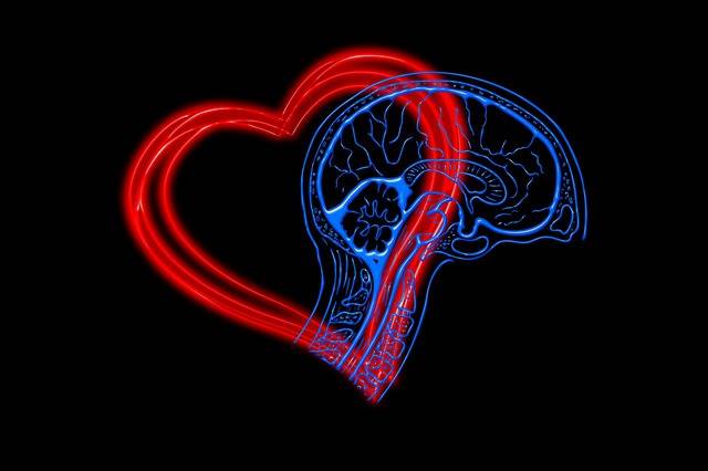 Người sở hữu IQ cao thường có EQ thấp? 3 vấn đề họ thường gặp