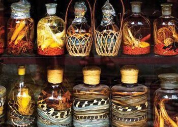 Nguy cơ tiềm ẩn từ rượu thuốc, rượu ngâm động vật giúp nam giới 'khỏe như mãnh hổ'