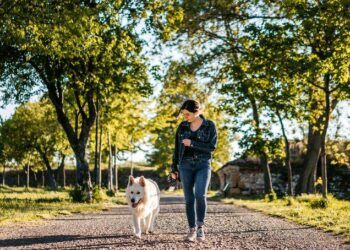 Những bước chân kỳ diệu: Nghiên cứu mới nhất chỉ ra lợi ích của việc đi bộ thường xuyên