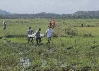 phat hien thi the khong quan ao giua canh dong o tp ba ria Bà Rịa- Vũng Tàu: Phát hiện thi thể người đàn ông trần truồng giữa đồng Phát hiện thi thể không quần áo giữa cánh đồng ở TP Bà Rịa