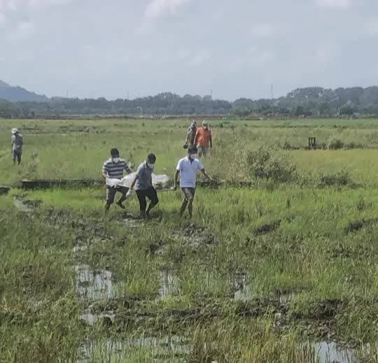 Phát hiện thi thể không quần áo giữa cánh đồng ở TP Bà Rịa