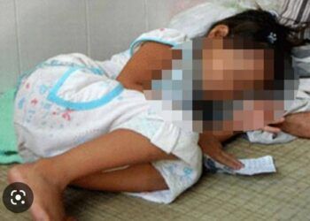 Phú Thọ: Công an điều tra vụ bé gái 11 tuổi mang thai