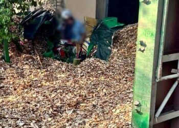 Phú Thọ: Phát hiện thi thể bị vùi lấp trong đống dăm gỗ