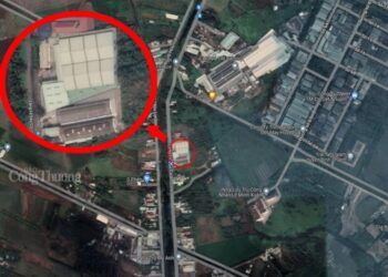 Sự thật nước hoa Charme Perfume 100% nguyên liệu Pháp: Hương liệu, vỏ chai hầu hết từ Trung Quốc