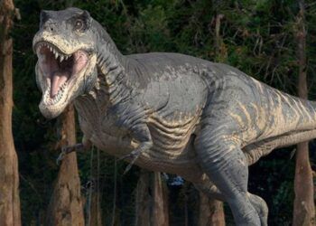 Tại sao khủng long bạo chúa lại có chi trước nhỏ bé?
