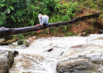 Thầy cô giáo vùng cao Quảng Nam đội mưa, bám thân cây vượt lũ dữ để đến trường