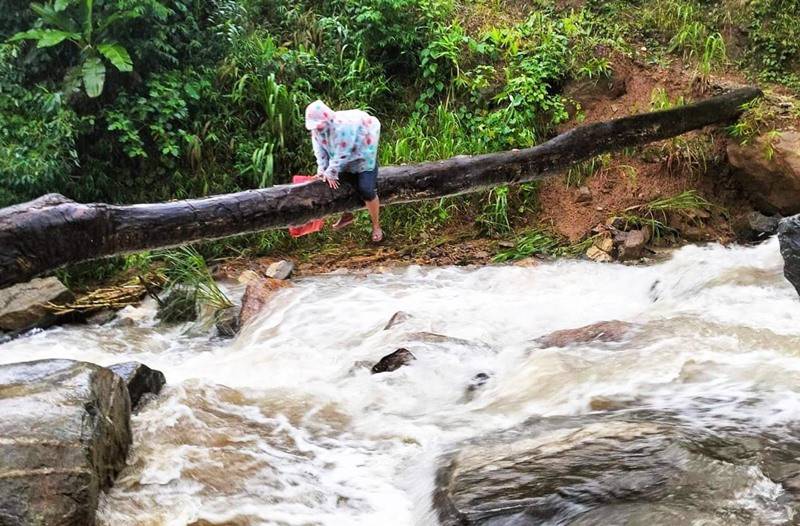 Thầy cô giáo vùng cao Quảng Nam đội mưa, bám thân cây vượt lũ dữ để đến trường