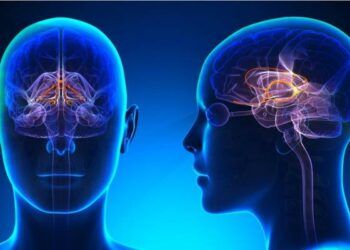 Vì sao chúng ta hiếm khi nhớ được những gì mình nằm mơ?