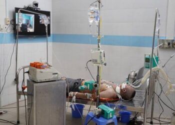 Vụ 12 người trên tàu neo đậu gần Côn Đảo tử vong: Người sống sót nói gì?