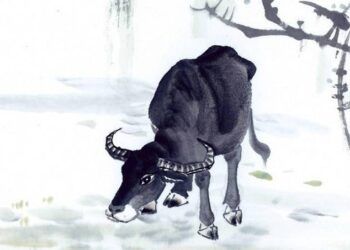 3 con giáp càng già càng phát, sau 40 tuổi tích cóp được rất nhiều tiền