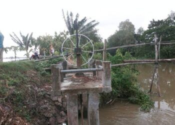 3 người tử vong bất thường cạnh trạm bơm giữa đồng