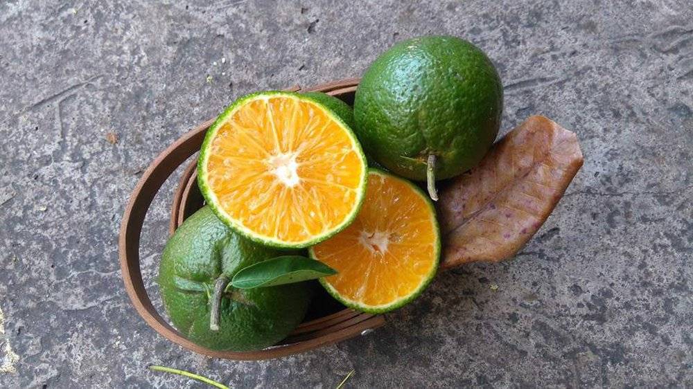 4 thói quen giữ làn da mịn màng, đẩy lùi lão hóa của phụ nữ Nhật