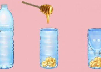 6 mẹo đuổi muỗi trong mùa dịch sốt xuất huyết