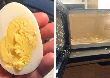 7 loai thuc pham tuyet doi khong duoc cho vao lo vi song 7 loại thực phẩm không nên cho vào lò vi sóng 7 loại thực phẩm tuyệt đối không được cho vào lò vi sóng