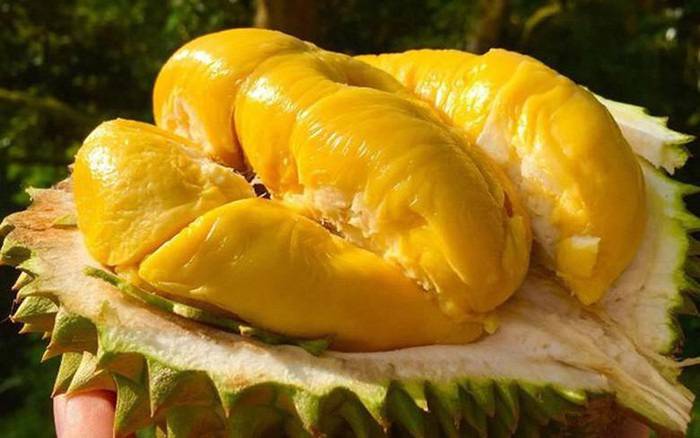 8 loại trái cây đắt nhất thế giới, có quả giá bằng chiếc xe hơi hạng sang