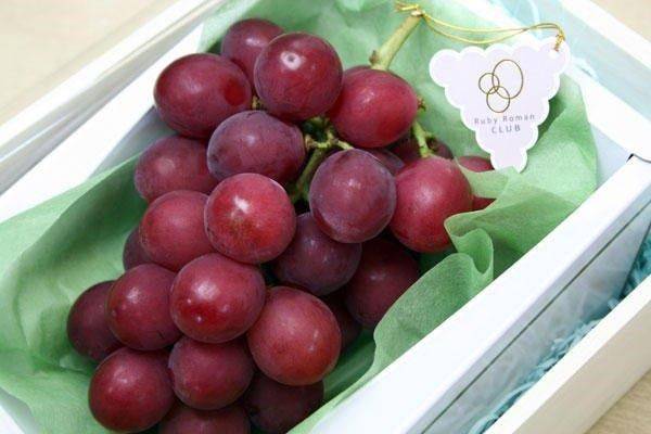 8 loại trái cây đắt nhất thế giới, có quả giá bằng chiếc xe hơi hạng sang