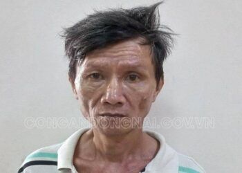 Bắt khẩn cấp đối tượng đánh chết mẹ ruột đem xác ra vườn giấu ở Đồng Nai