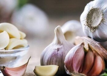 Cách ăn tỏi đúng, hiệu quả nhất không phải ai cũng biết