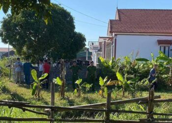 Chém hàng xóm tử vong vì chặt cây đổ vào nhà