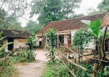 Chủ kênh "Ẩm thực mẹ làm" xây nhà 3 tỷ cho mẹ sau 8 năm cố gắng