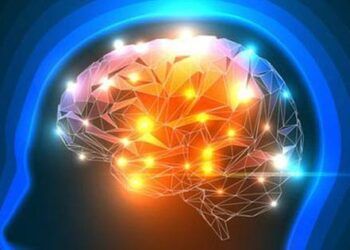 Con người thông minh, sáng suốt hơn sau khi 'chết hụt'?