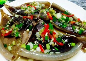 Đến Bình Thuận nhớ ăn cá lồi xối mỡ: Càng ăn càng thèm, xuýt xoa mãi không thôi!