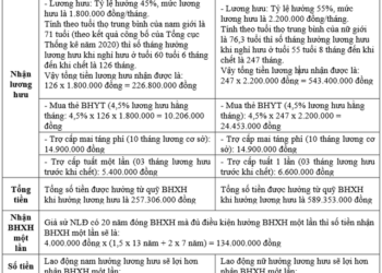 dong du 18 nam bhxh co nen rut bhxh mot lan Người lao động đóng đủ 18 năm BHXH có nên rút hết 1 lần hay không? Đóng đủ 18 năm BHXH có nên rút BHXH một lần?