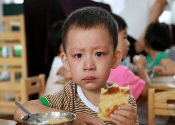 Giữa trẻ bị ép học ở mẫu giáo với trẻ được thỏa sức vui chơi, 20 năm sau ai thành công?