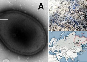 Hồi sinh virus cổ đại 48.500 năm tuổi