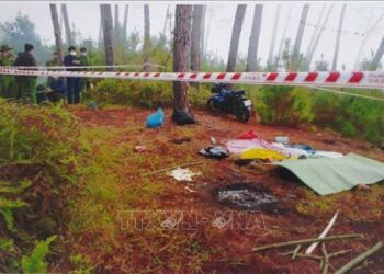 Khởi tố, bắt tạm giam giáo viên mầm non giết người tại đồi thông