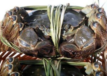 Một bó rơm - hai số phận: Kết giao với đúng người cuộc đời dễ lên hương, chọn nhầm bạn mãi không thể thoát nghèo