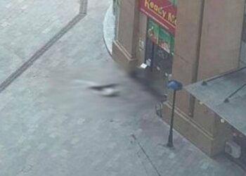 Nam thanh niên rơi từ tầng cao chung cư xuống đất tử vong sau khi đưa con đi học