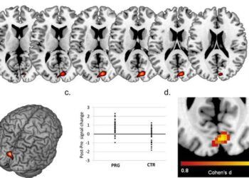 Não phụ nữ có biến lớn khi mang thai