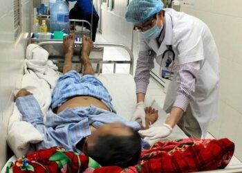 Người đàn ông nhiễm liên cầu khuẩn nguy kịch sau mổ lợn chết