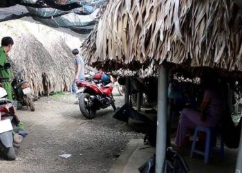 nhan vien quan ca phe ban dam cho khach roi chia tien cho quan ly Bình Phương: Nhân viên quán cà phê bán dâm với khách rồi chia tiền cho chủ Nhân viên quán cà phê bán dâm cho khách rồi chia tiền cho quản lý