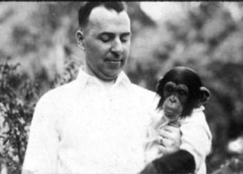 Nuôi tinh tinh cùng với trẻ sơ sinh thì sẽ như thế nào? Kết quả thí nghiệm khiến ai nấy xót xa