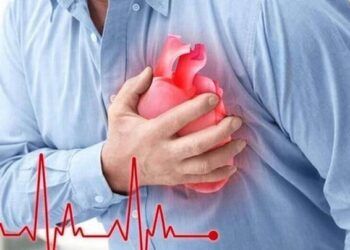 sai lam khi an uong khien trai tim ‘hong som Những sai lầm khi ăn uống gây ra các bệnh về tim mạch Sai lầm khi ăn uống khiến trái tim ‘hỏng’ sớm