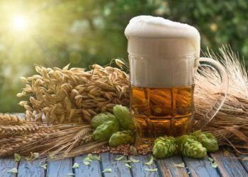 than duoc trong ly bia bat ngo chong duoc can benh khong thuoc chua Uống bia mỗi ngày giúp bạn chống lại những căn bệnh không có thuốc chữa "Thần dược" trong.. ly bia bất ngờ chống được căn bệnh không thuốc chữa