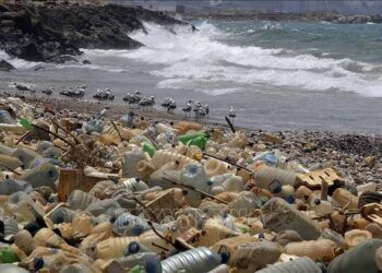 wwf keu goi xay dung mot hiep uoc toan cau ngan chan o nhiem rac thai nhua WWF kêu gọi toàn cầu ngăn chặn ô nhiễm rác thải nhựa WWF kêu gọi xây dựng một hiệp ước toàn cầu ngăn chặn ô nhiễm rác thải nhựa