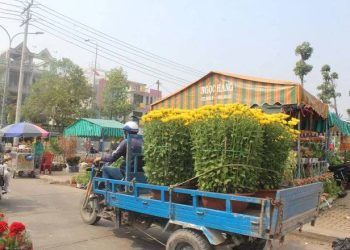 5 công việc dễ "hái ra tiền" dịp cuối năm: Thu nhập gấp 3 lần, lên tới cả triệu đồng/ngày