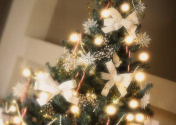 9 món đồ không thể thiếu khi trang trí cây thông Noel