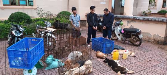 Bắt giữ nhóm trộm chó liên tỉnh, 2 tháng bắt 3 tấn chó