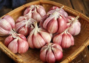 Cách làm tỏi xanh ngọc bích tại nhà, ăn vừa thơm giòn lại giúp giải ngán dầu mỡ ngày Tết