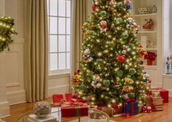 Cách trang trí cây thông Noel cho mùa Giáng sinh