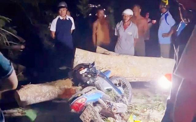 Cây bật gốc đè 2 bà cháu tử vong Cây bật gốc đè 2 bà cháu tử vong