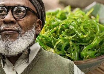 Chế độ ăn kích hoạt gen sống thọ, trong đó sử dụng khoai lang làm nguồn calo chính