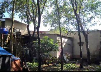 Đi tìm chồng, người vợ phát hiện sự thật khó tin ở sau nhà